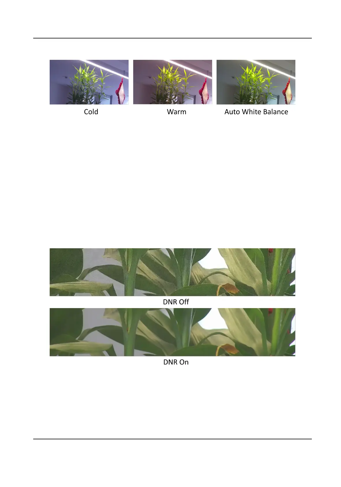 Page #45 background image