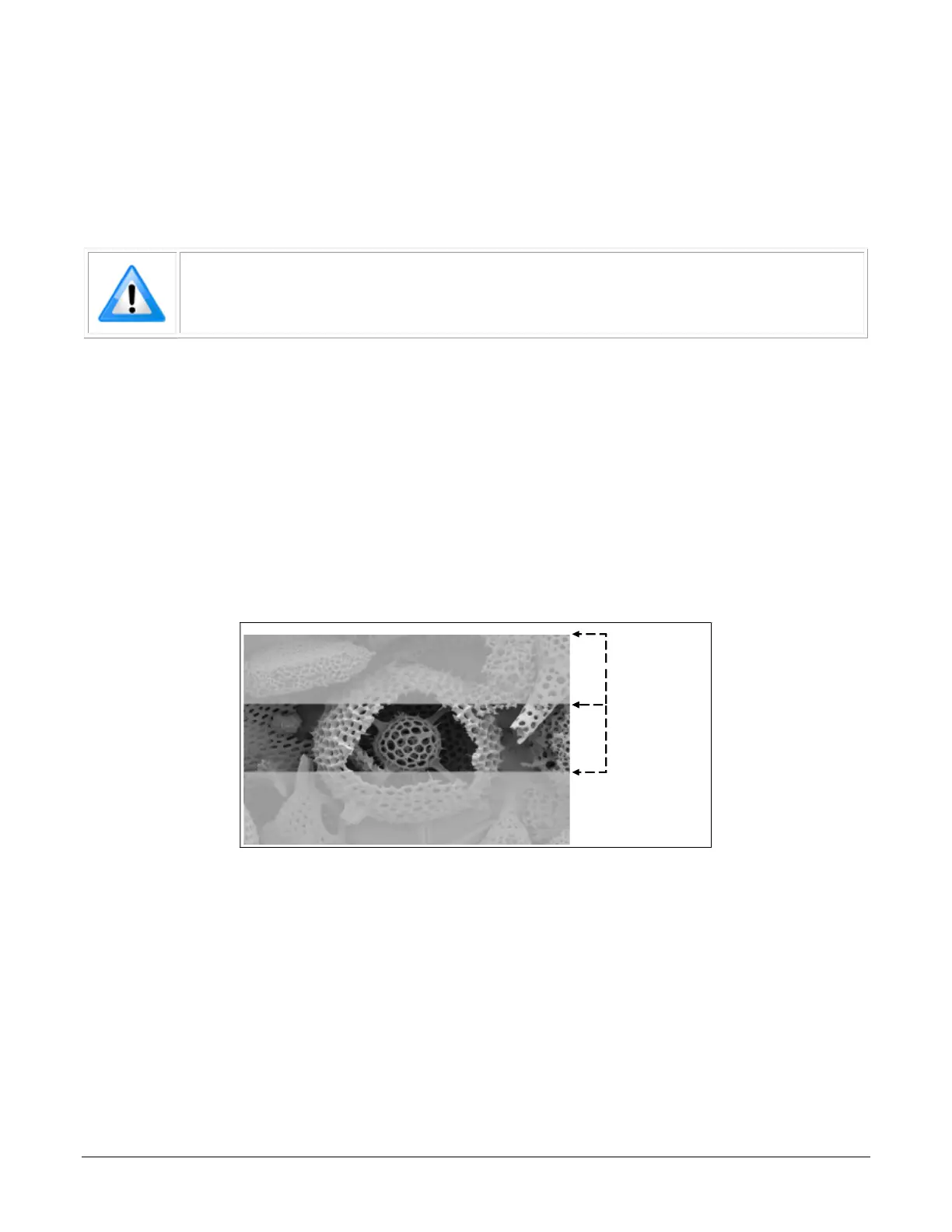 Page #58 background image