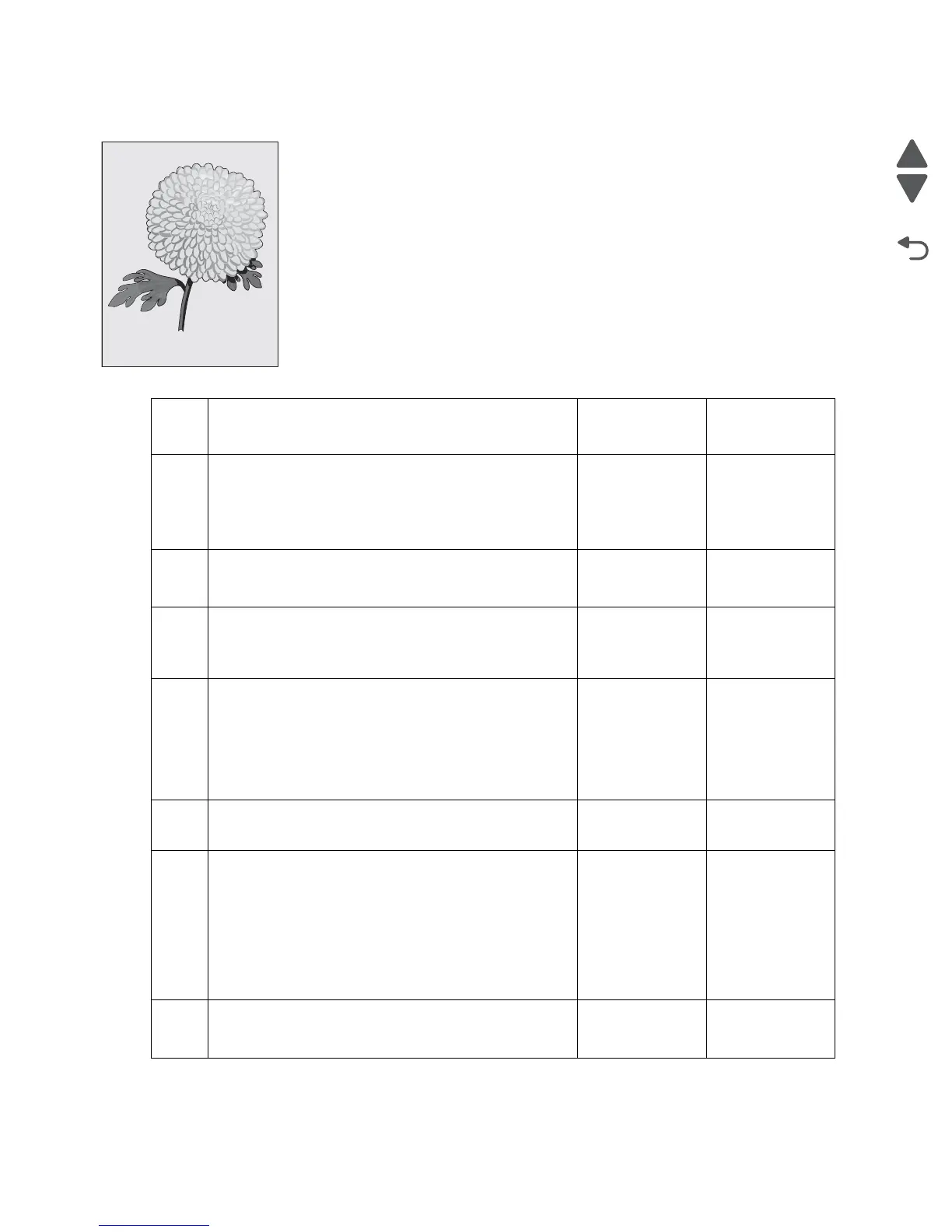 Page #204 background image