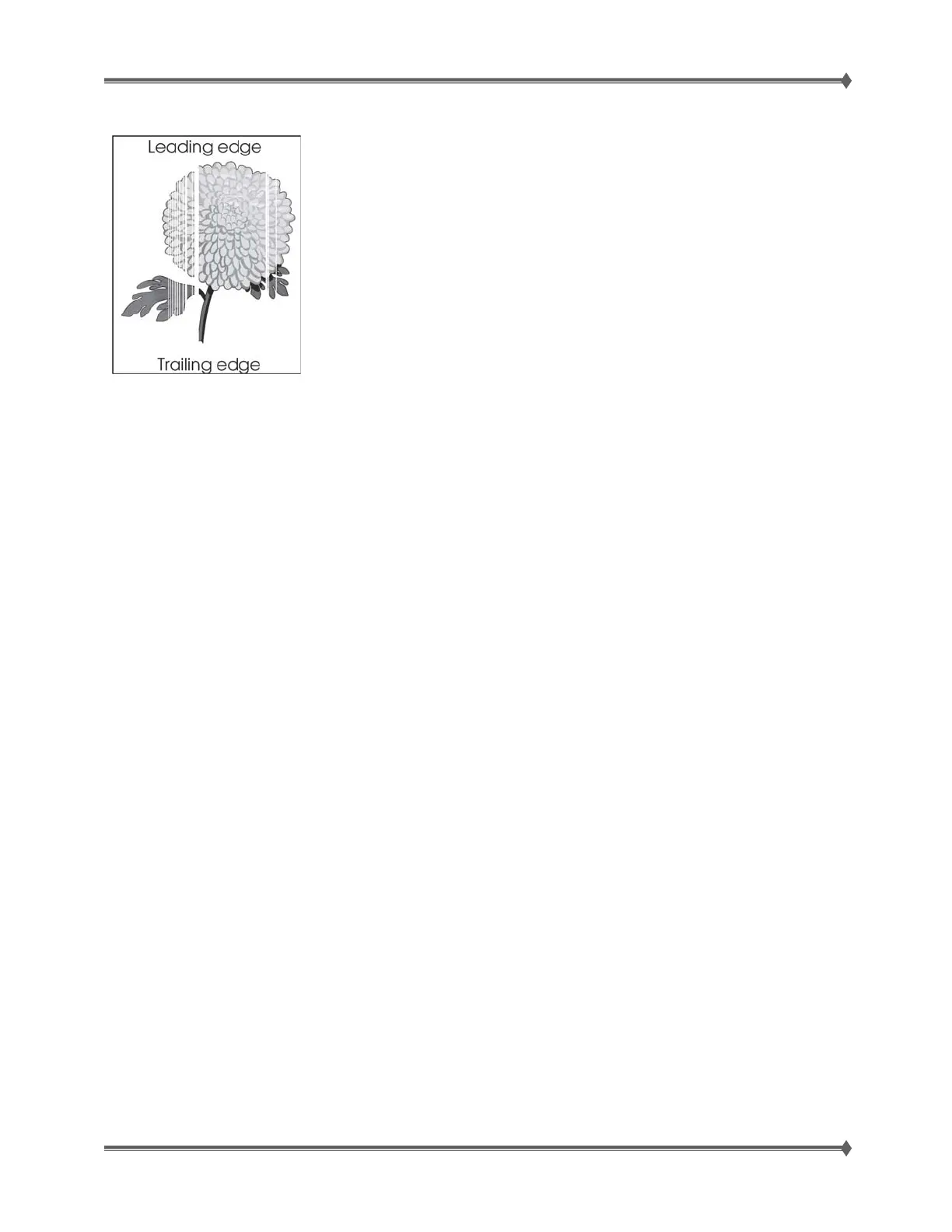 Page #45 background image