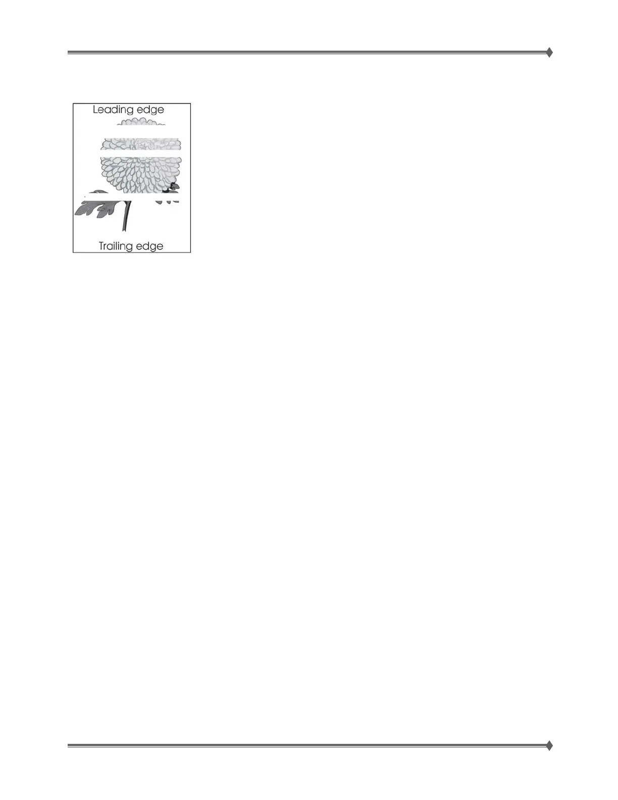 Page #46 background image