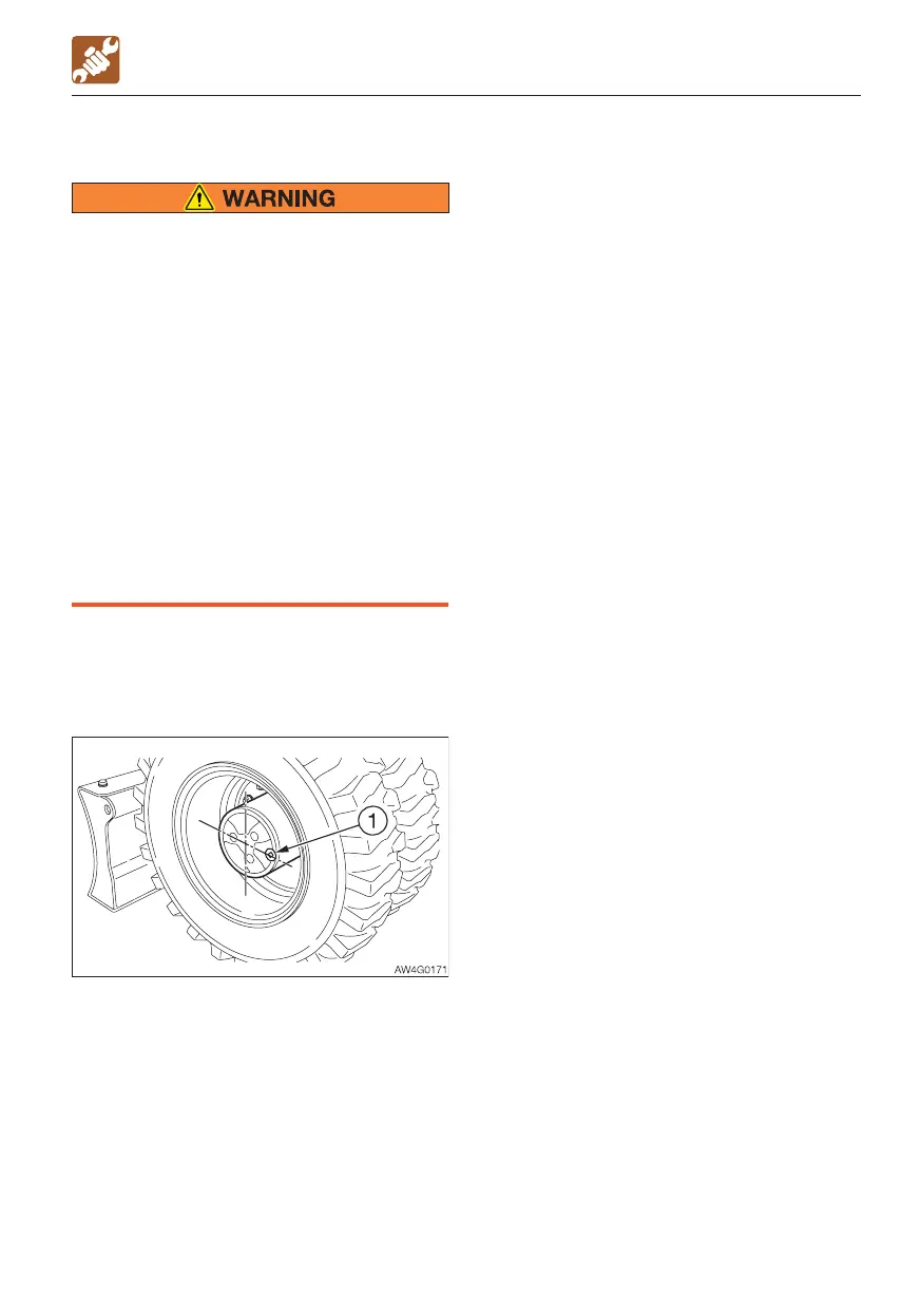 Page #217 background image
