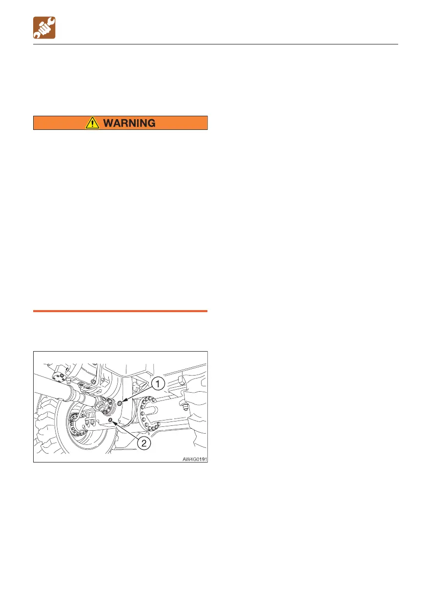 Page #229 background image