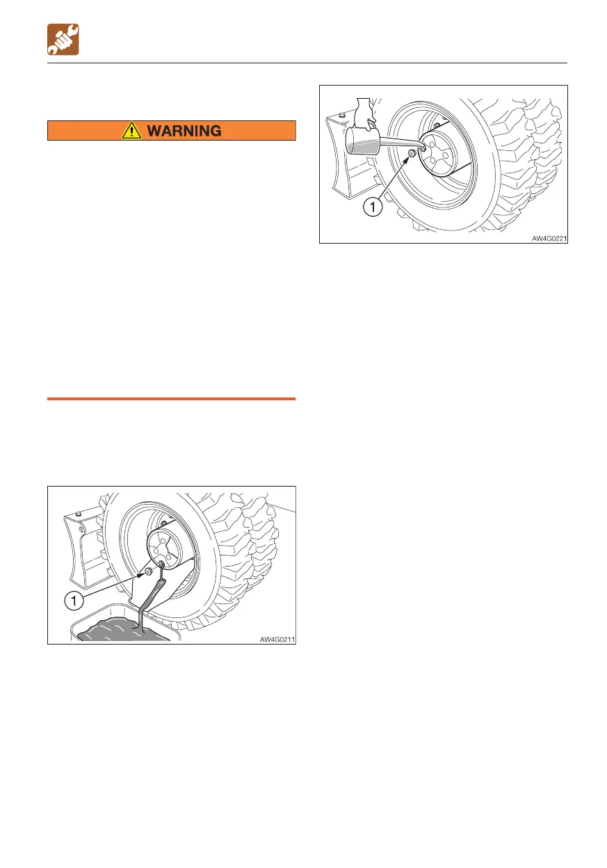 Page #231 background image