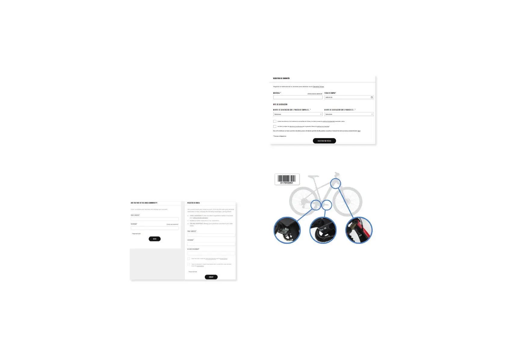 Page #4 background image