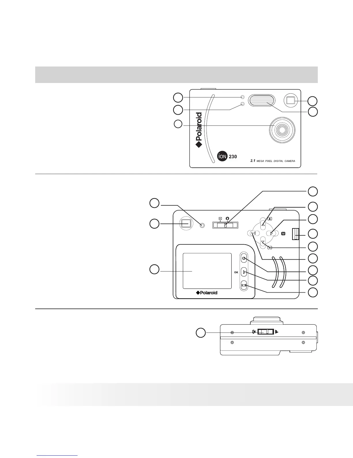 Page #2 background image