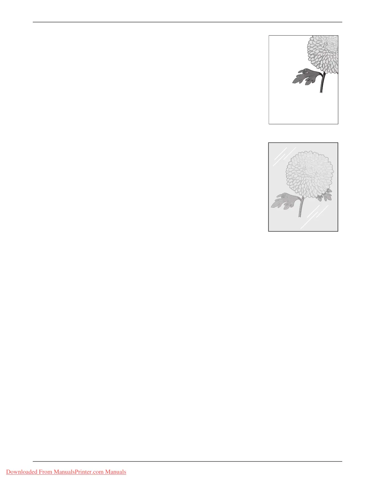 Page #113 background image