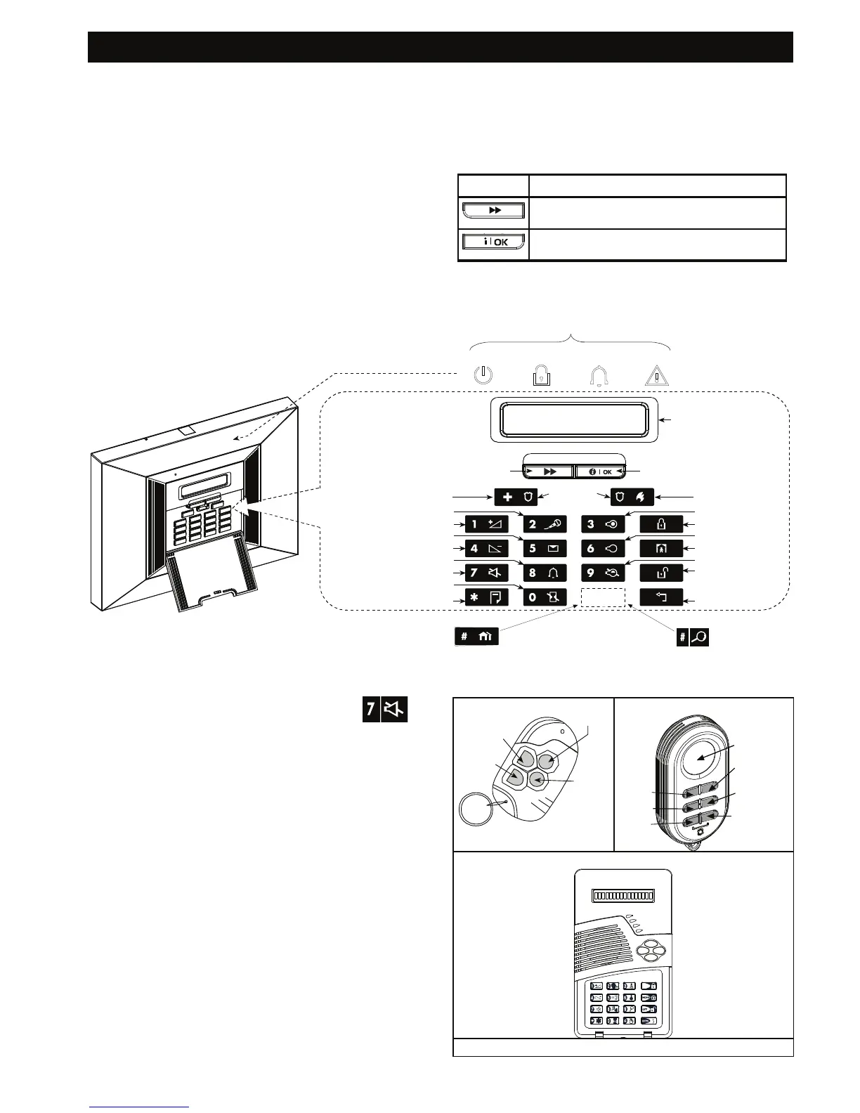 Page #6 background image