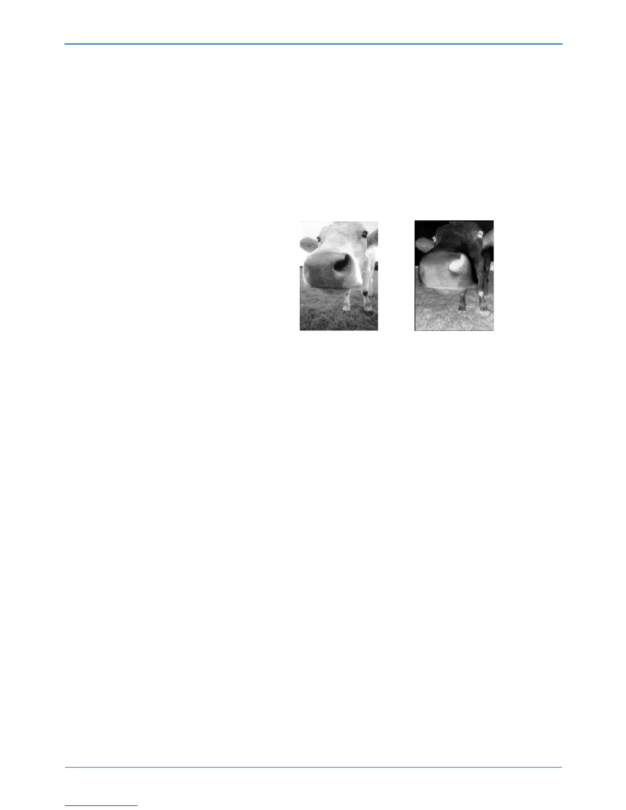 Page #57 background image