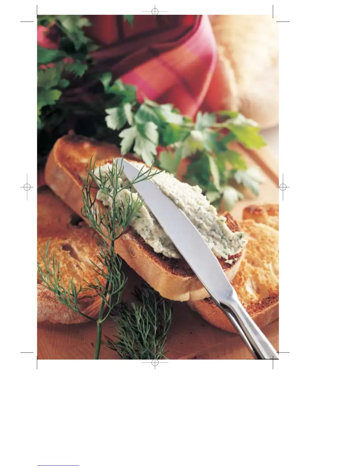 Page #31 background image