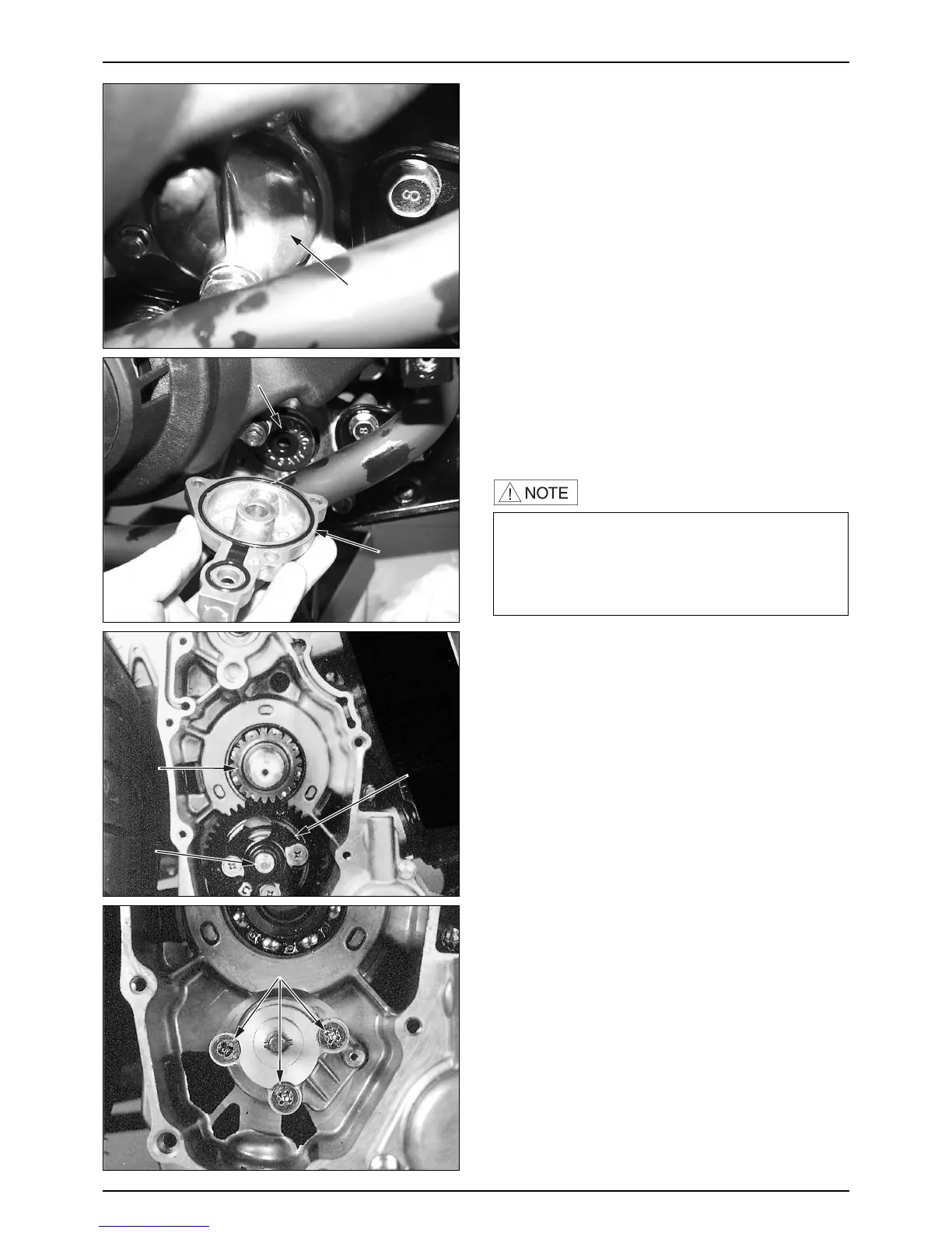 Page #43 background image