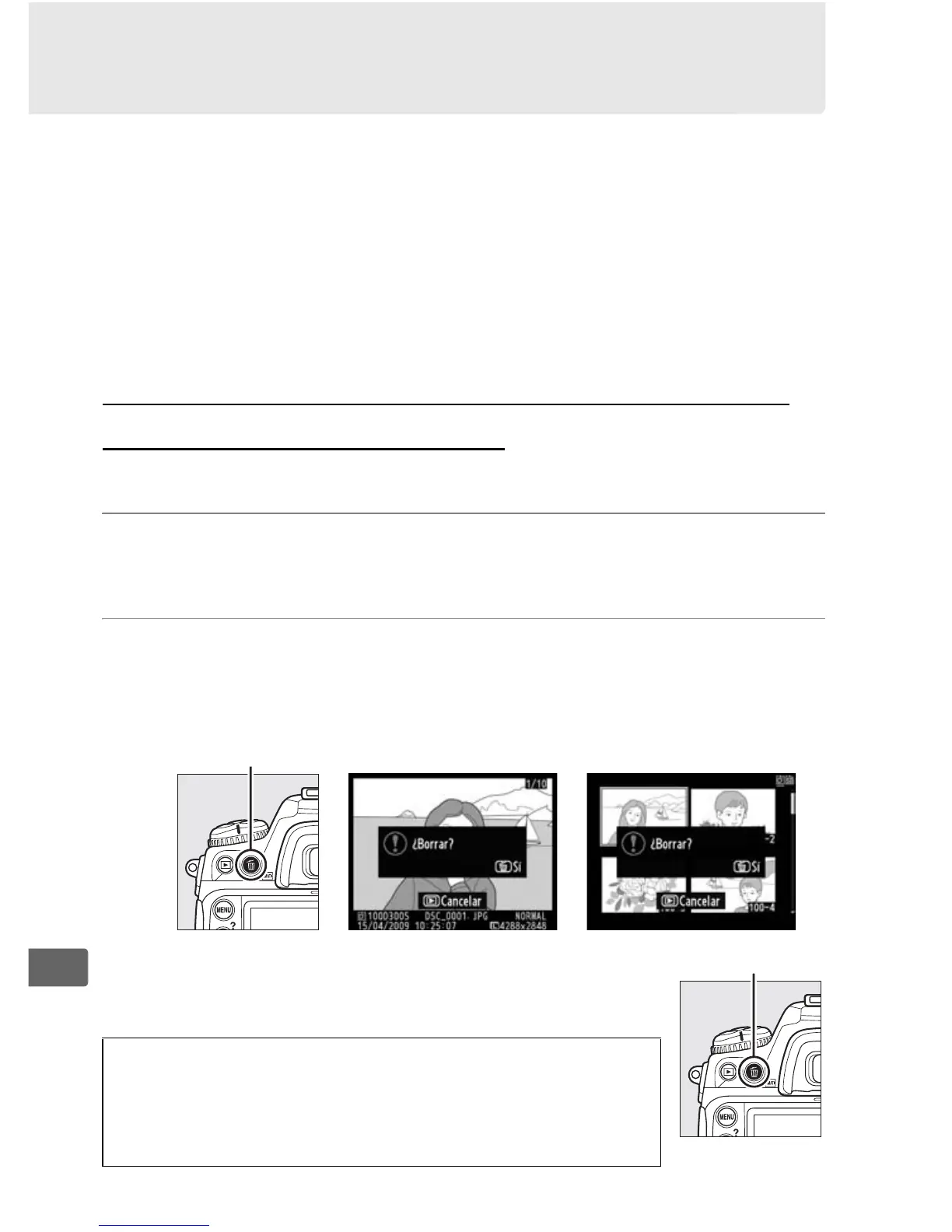 Page #246 background image