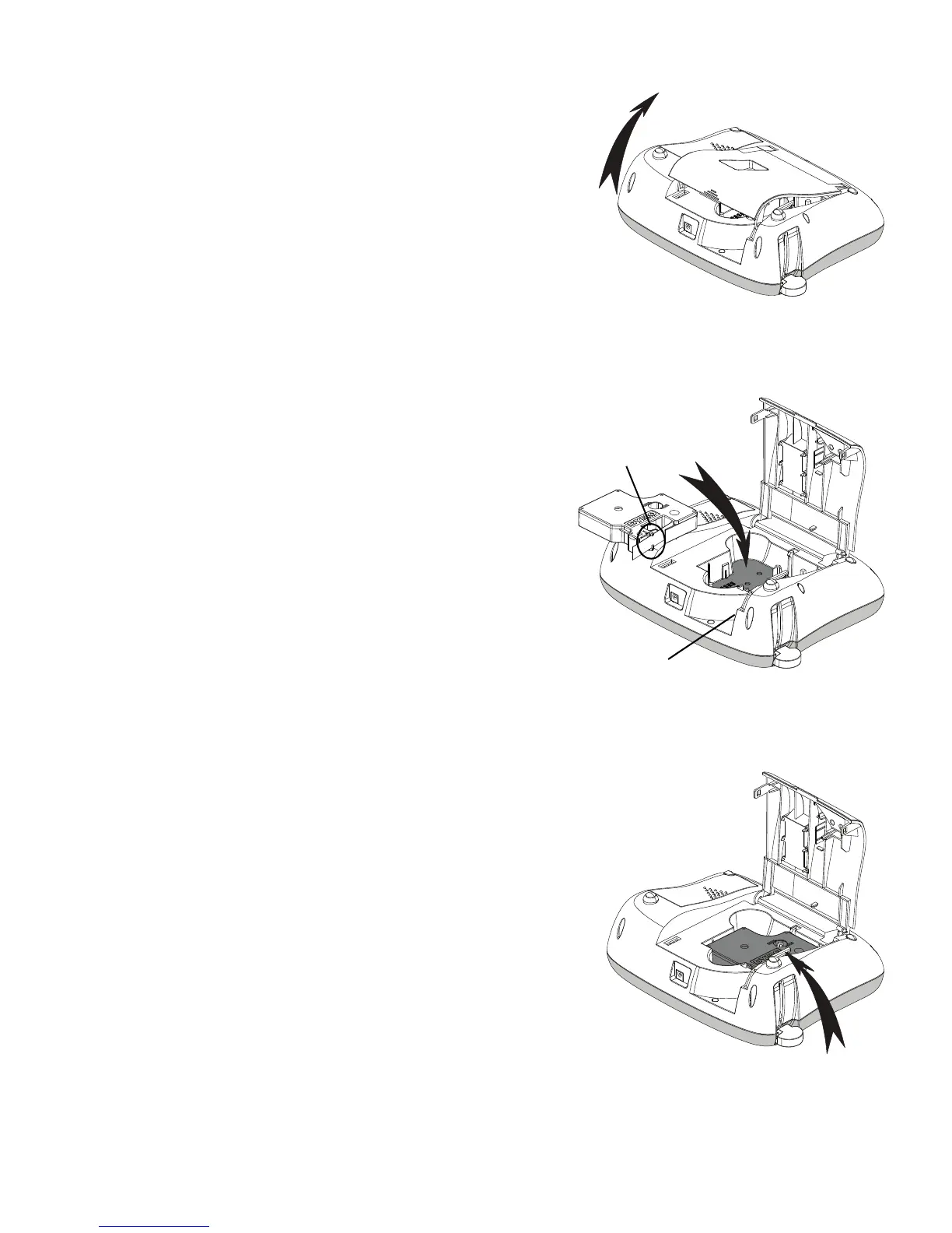 Page #7 background image