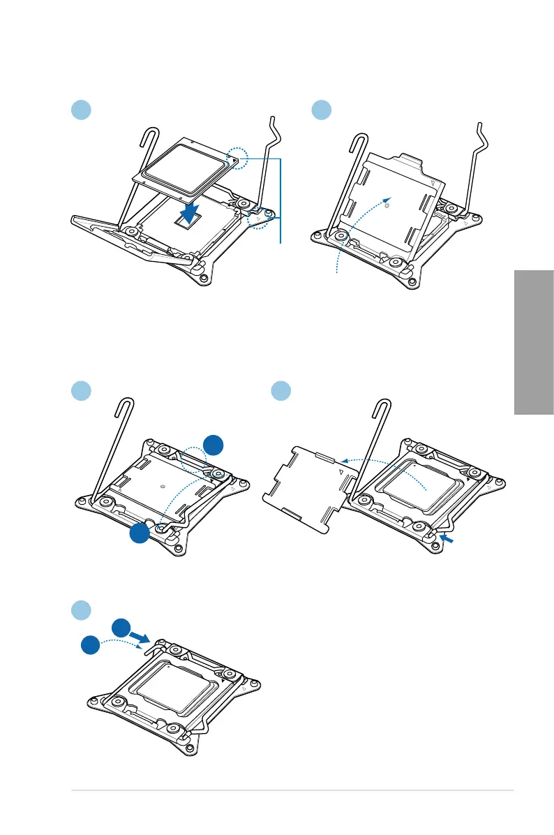 Page #51 background image