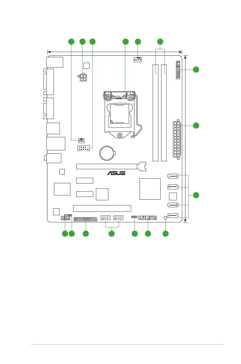 Page #19 background image