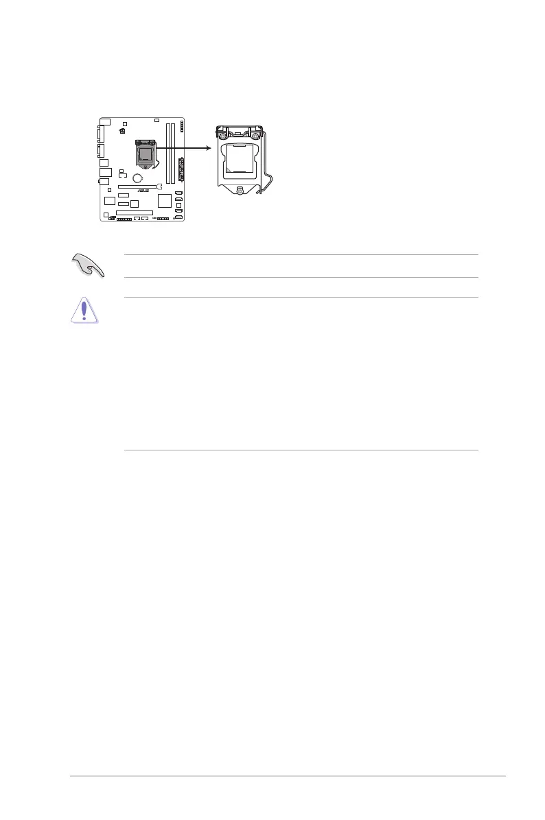 Page #21 background image