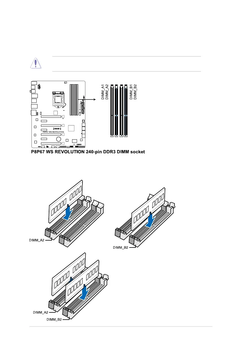 Page #31 background image