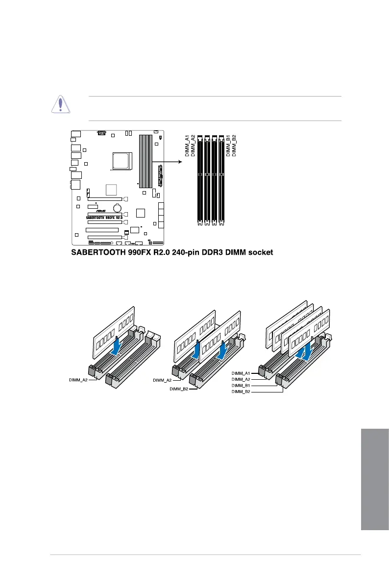 Page #23 background image