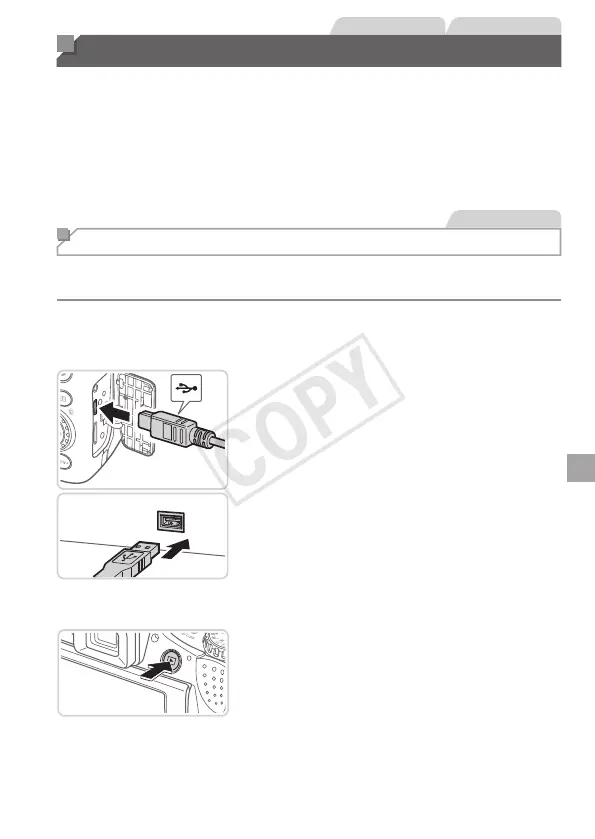 Page #231 background image