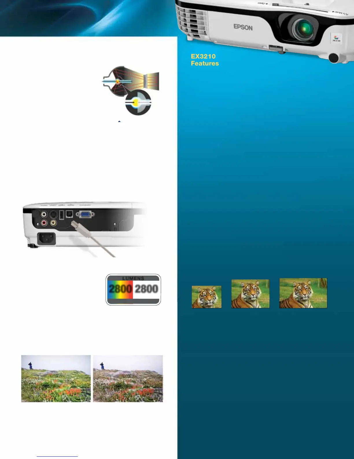 Page #3 background image