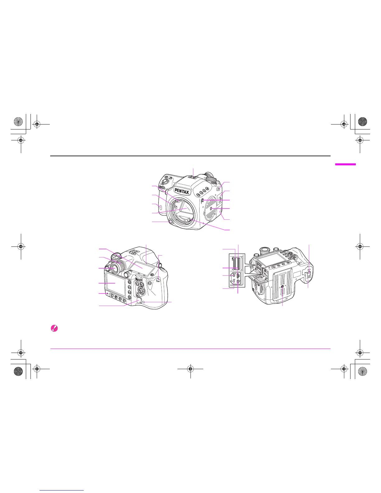 Page #13 background image