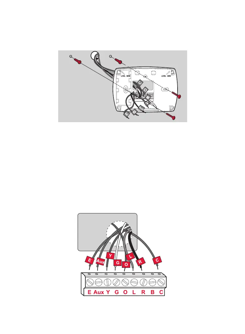 Page #19 background image