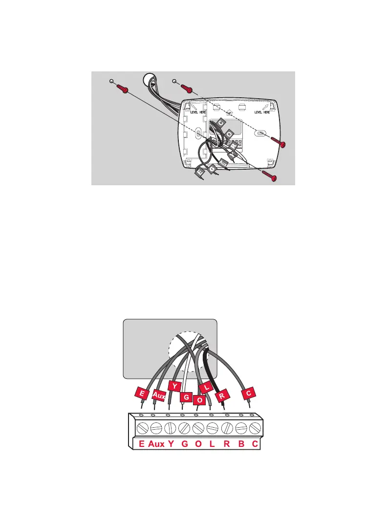 Page #5 background image