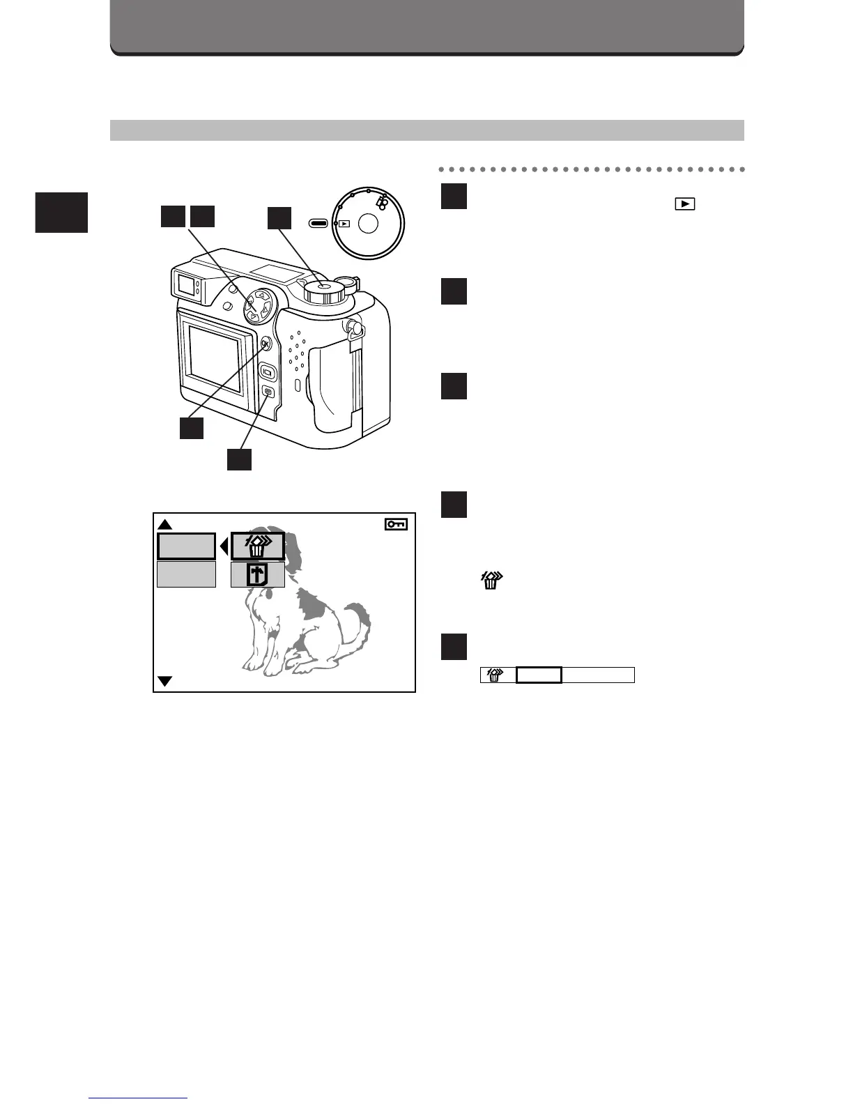 Page #45 background image