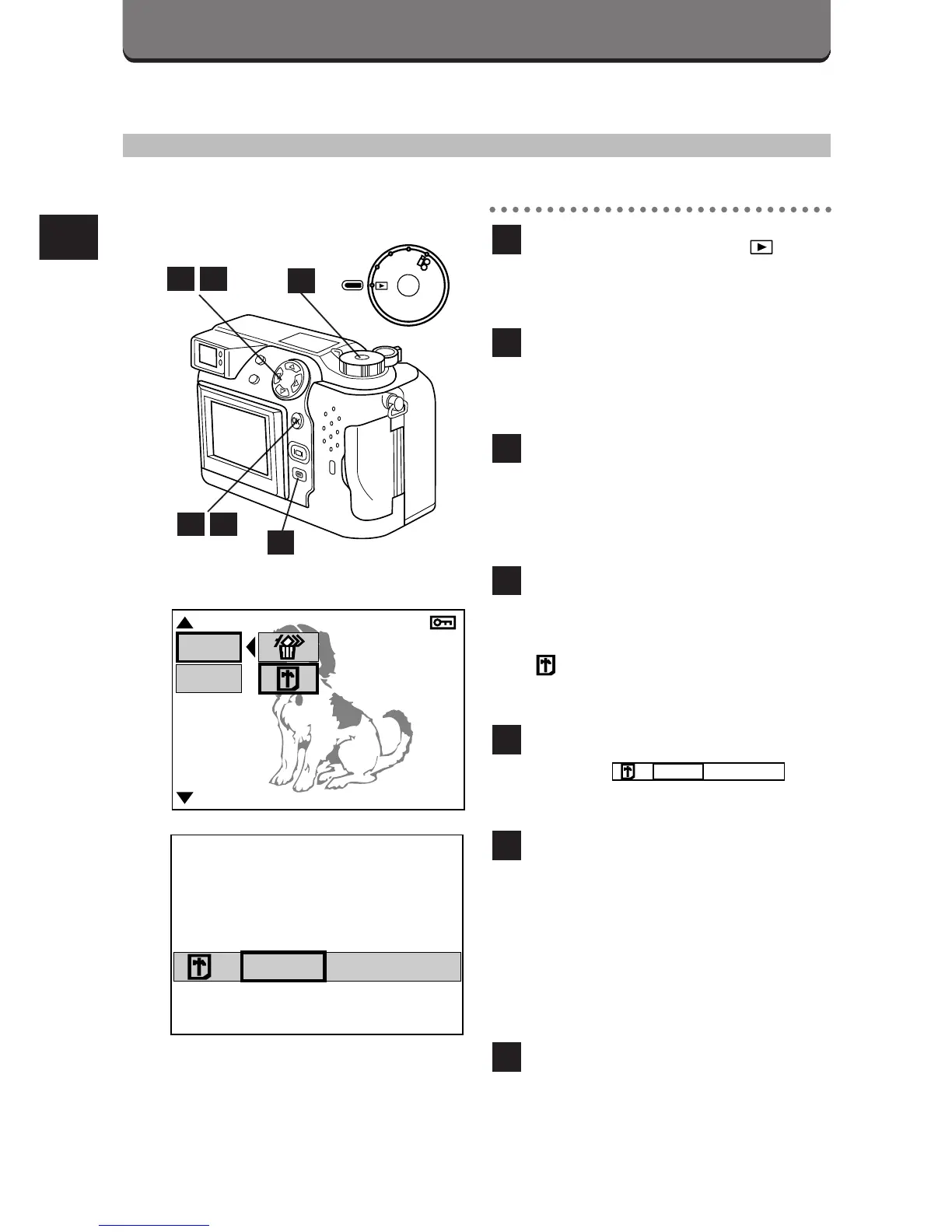 Page #47 background image