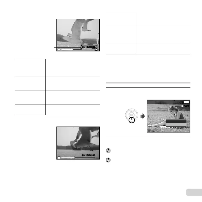 Page #21 background image