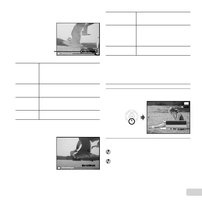 Page #21 background image