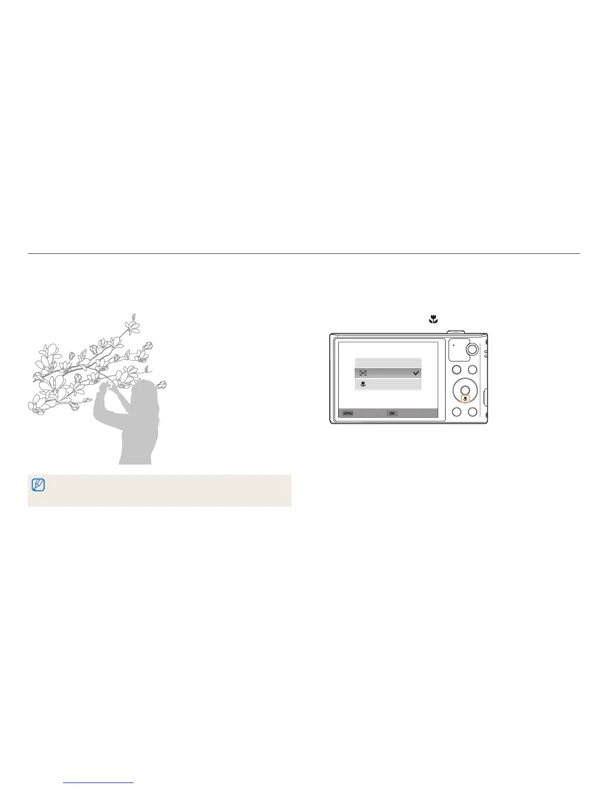Page #65 background image