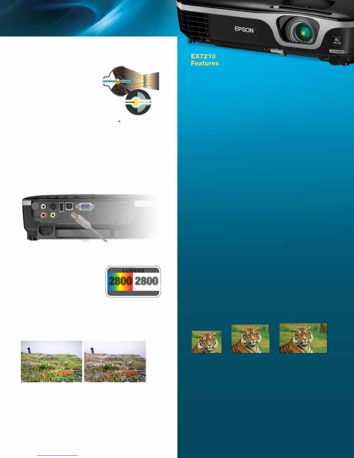 Page #3 background image