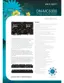 Preview: Brochure