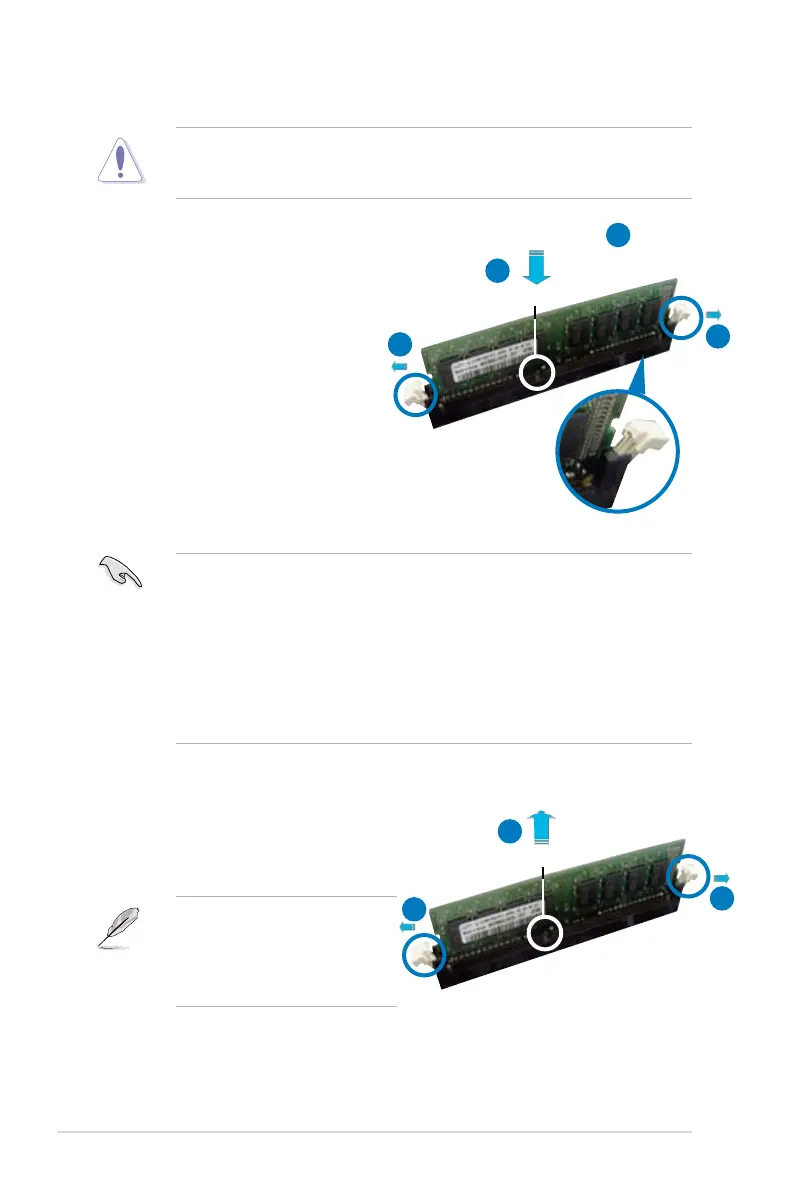 Page #44 background image