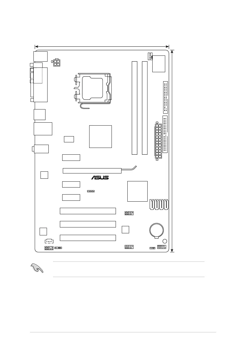 Page #19 background image