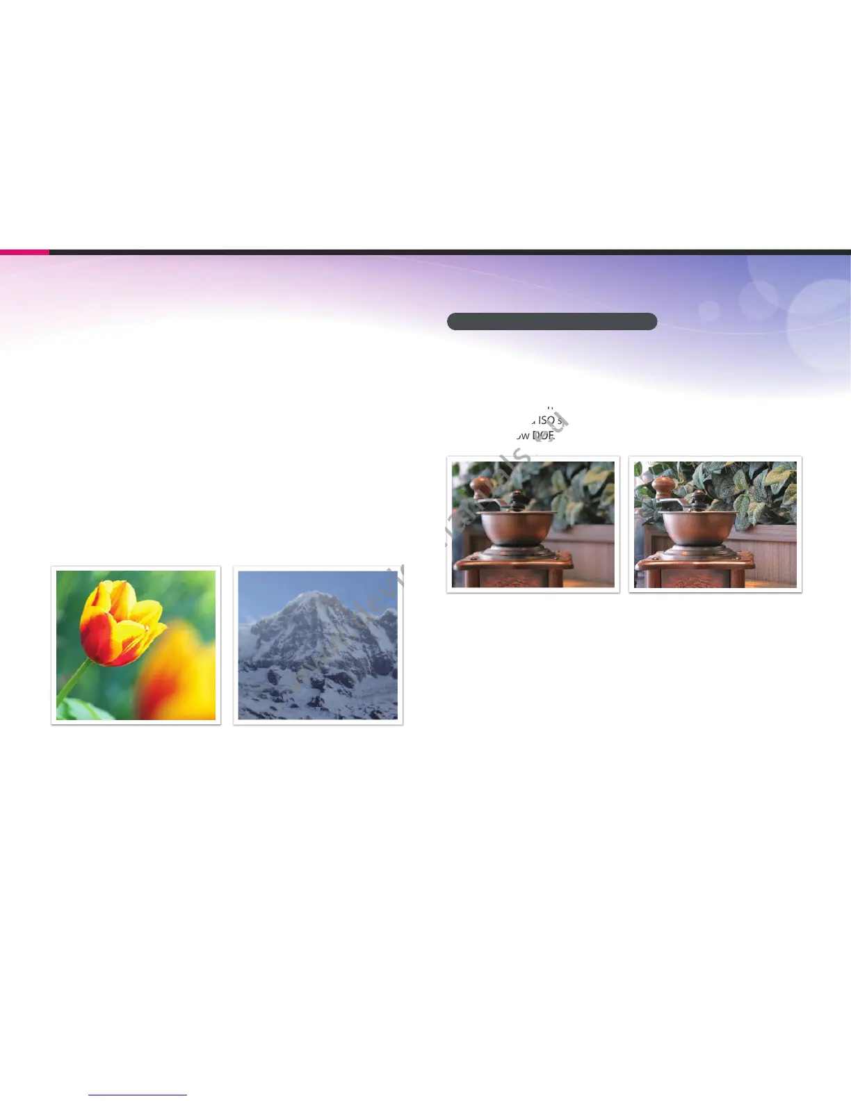 Page #23 background image