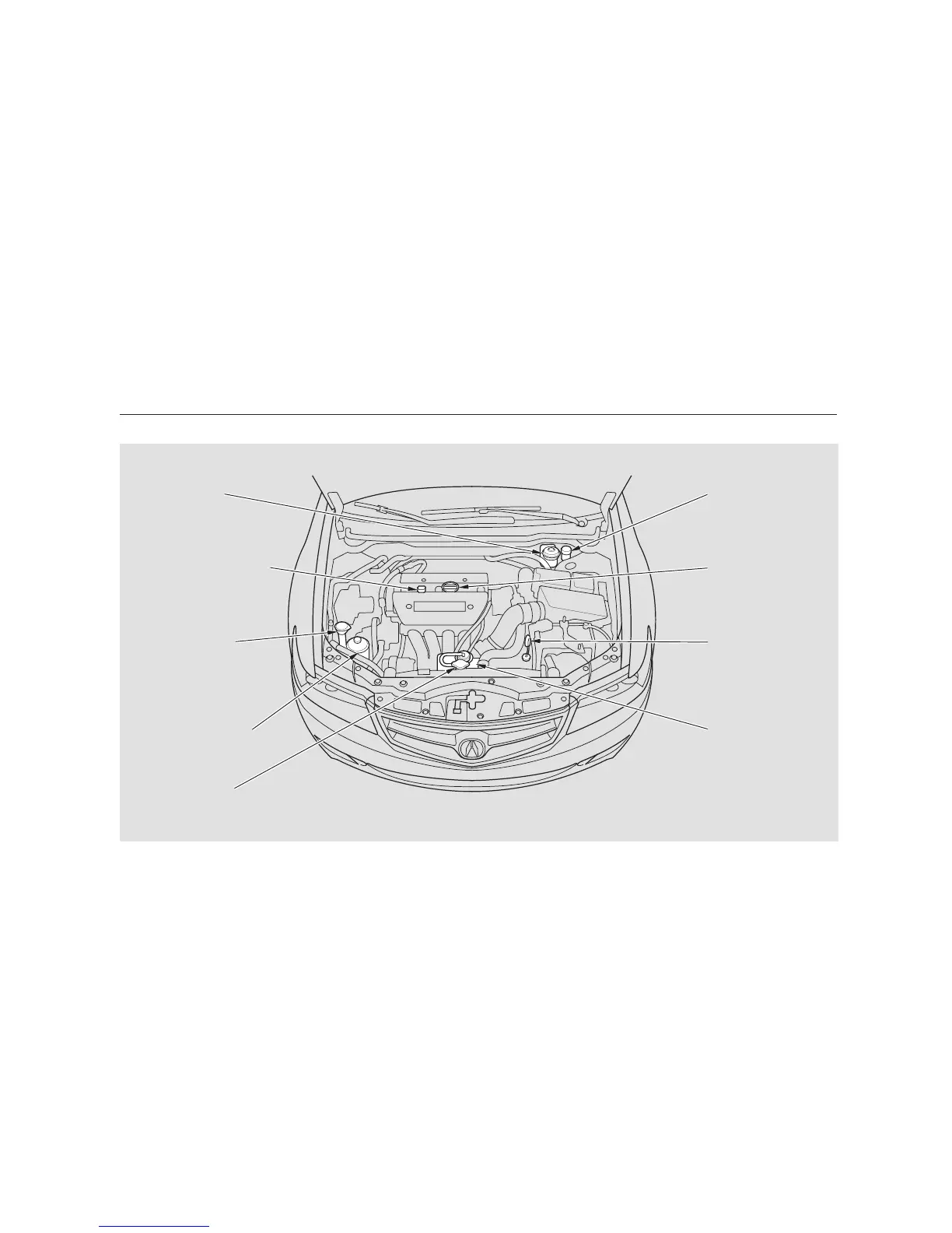 Page #296 background image