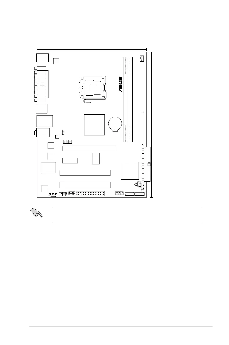 Page #19 background image