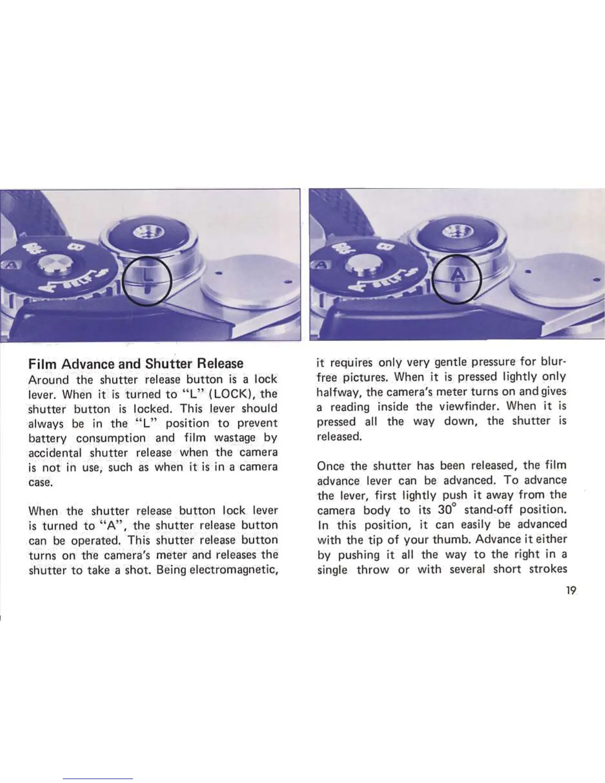 Page #19 background image