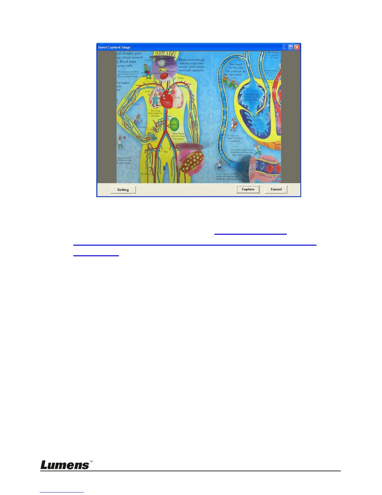 Page #32 background image