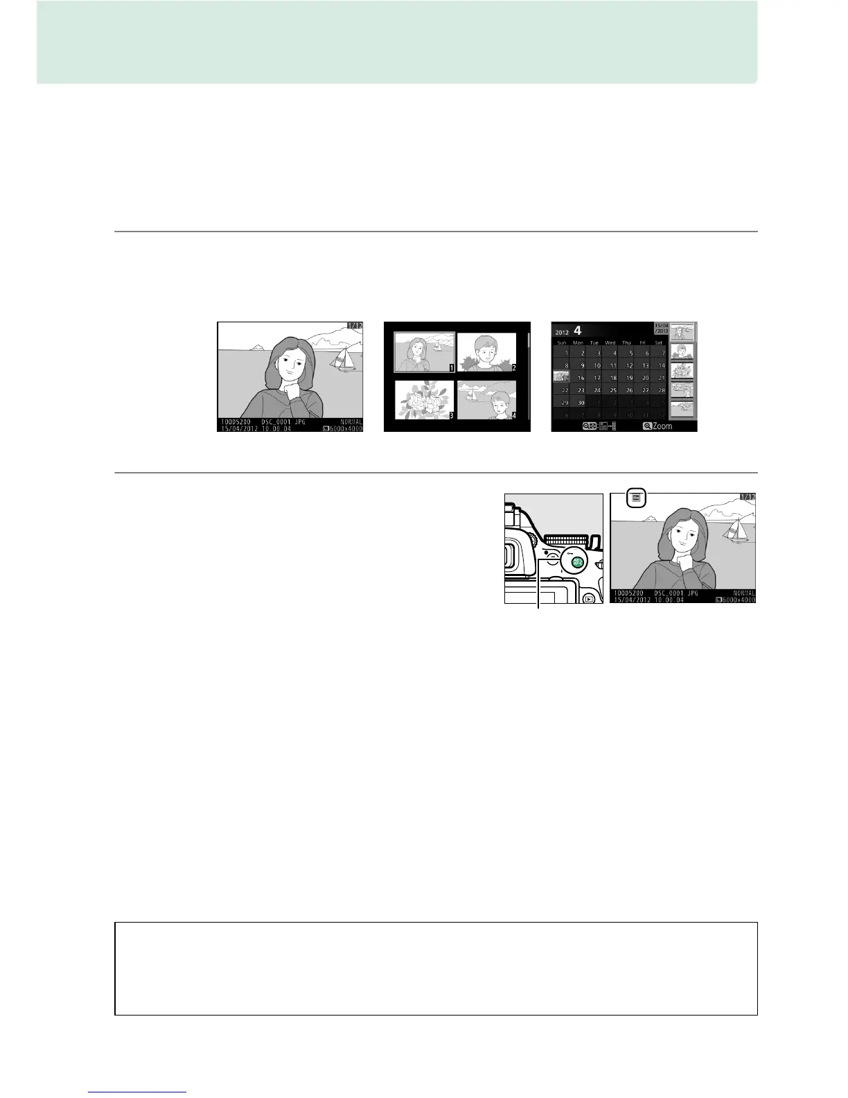 Page #243 background image