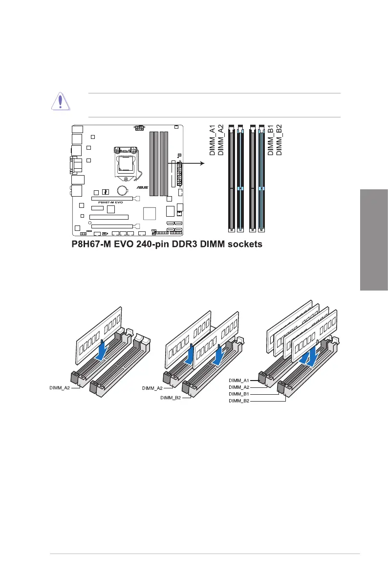 Page #21 background image