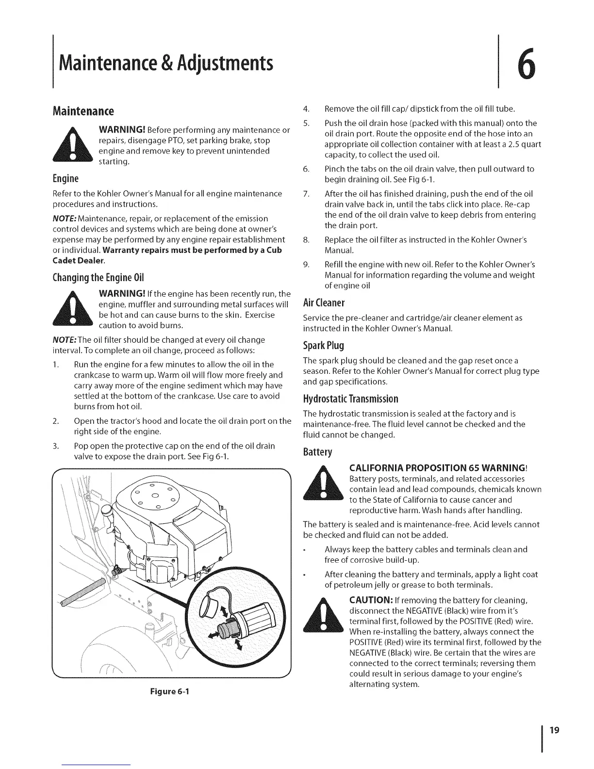 Page #19 background image