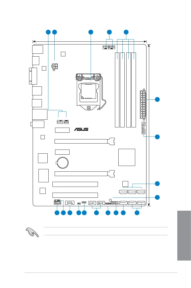 Page #19 background image
