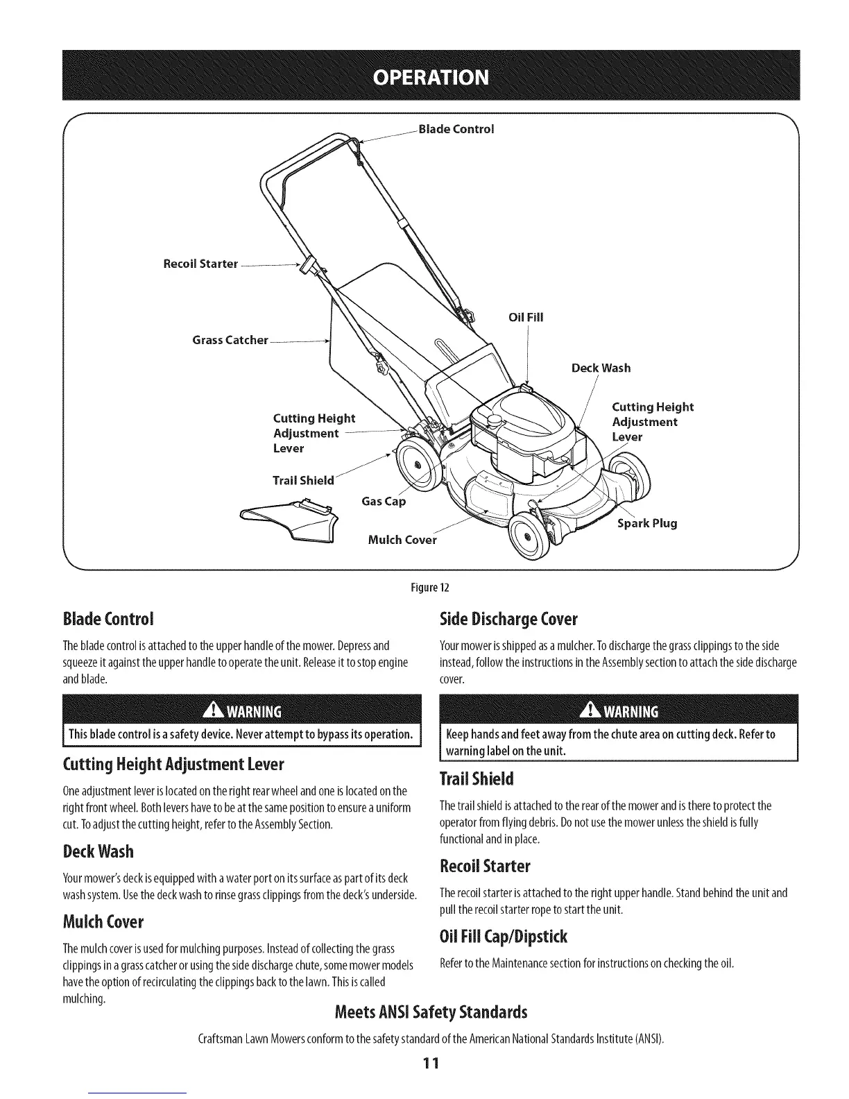 Page #11 background image