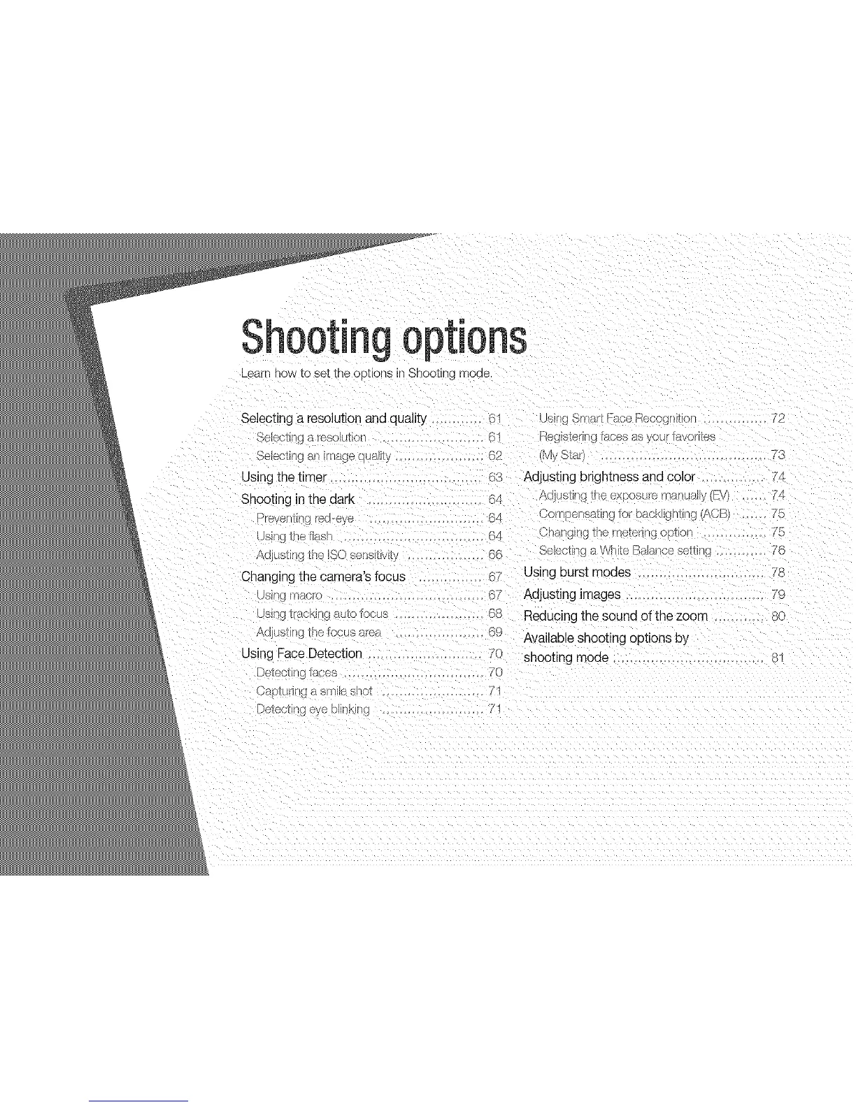 Page #61 background image