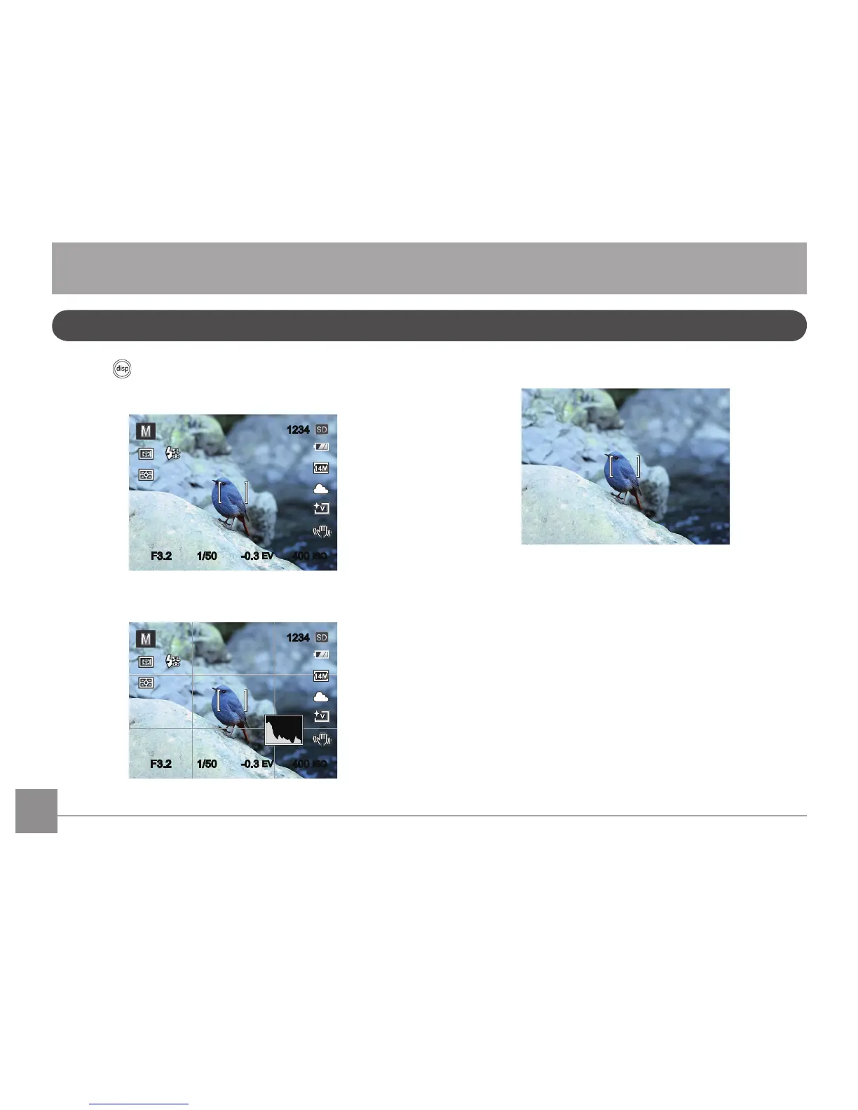 Page #21 background image