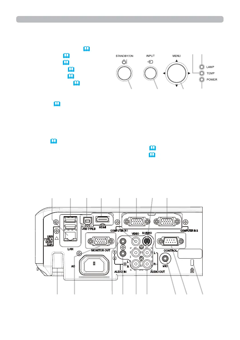Page #5 background image