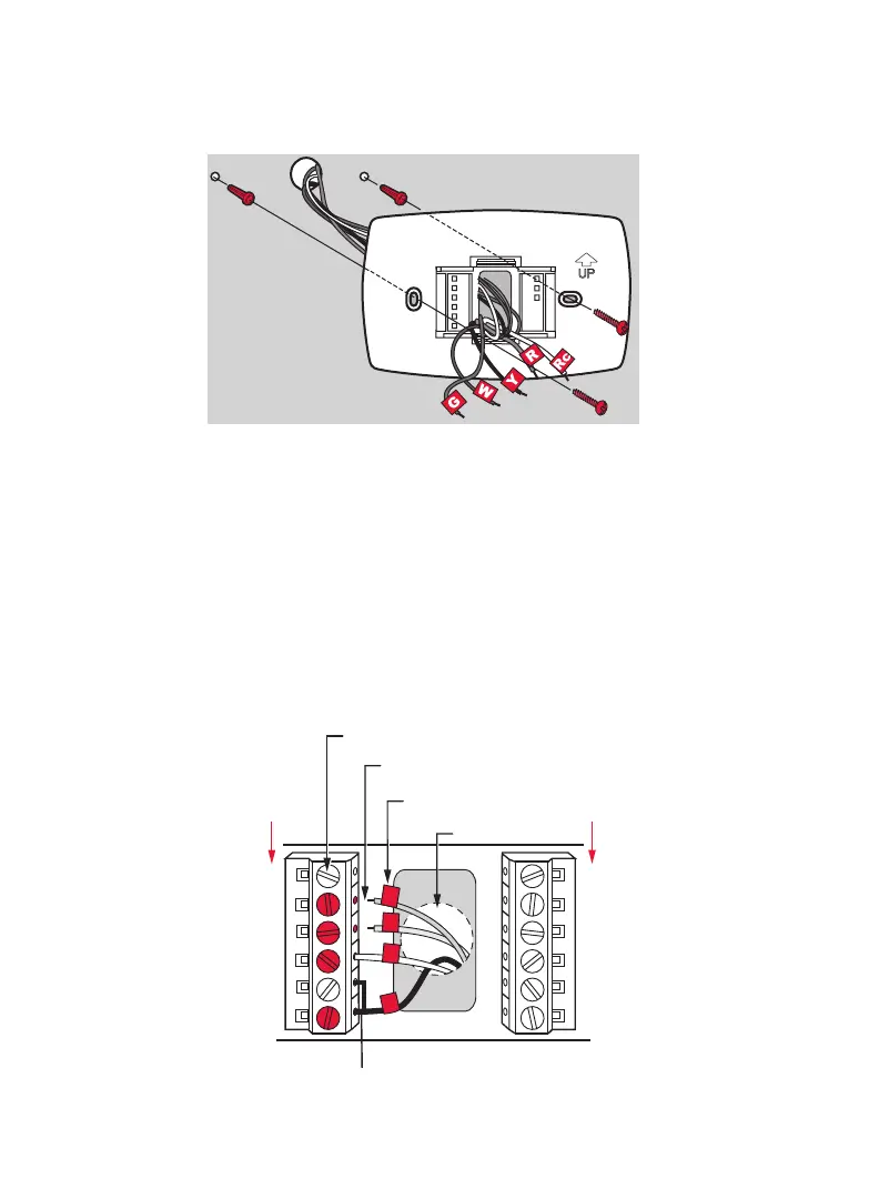 Page #5 background image
